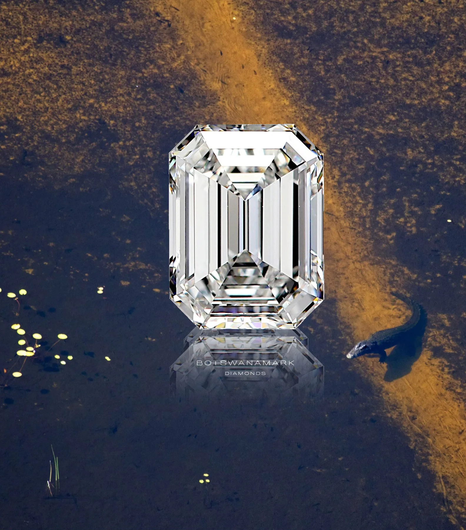 A Botswanamark diamond reflected in the waters of the Okavango Delta