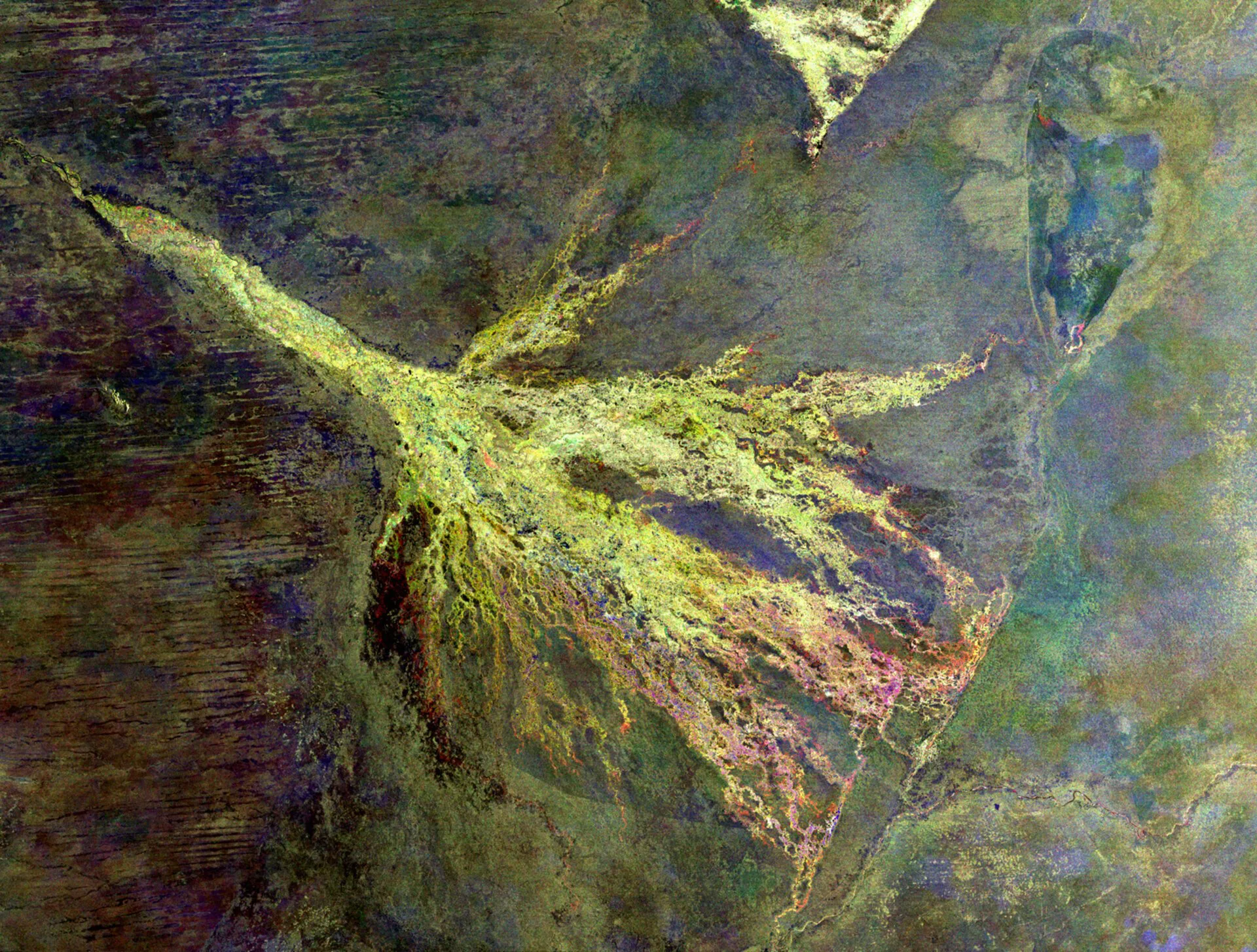 An aerial abstract of the Okavango Delta's waterways