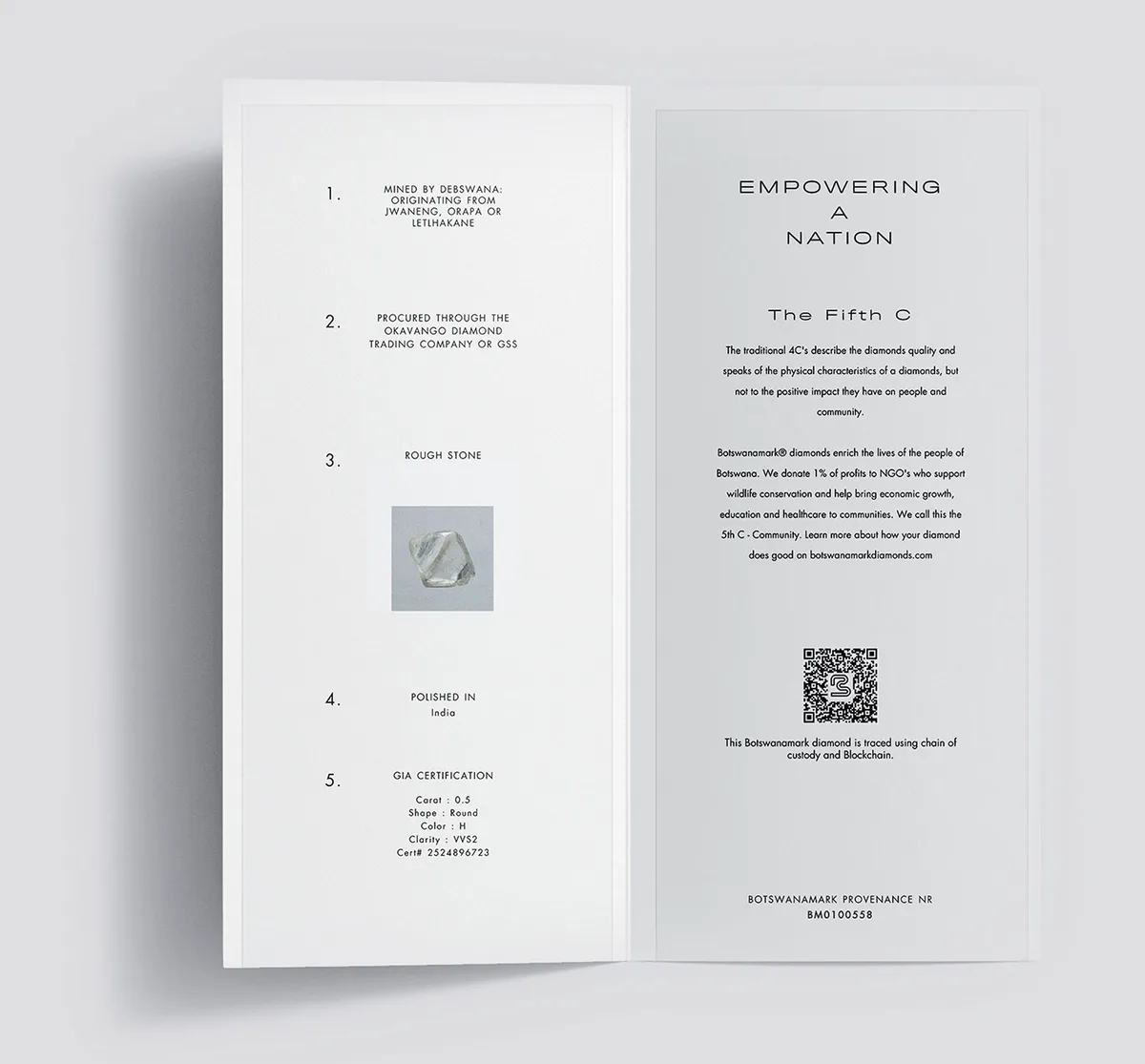 From source to custodian - the diamond's documented journey